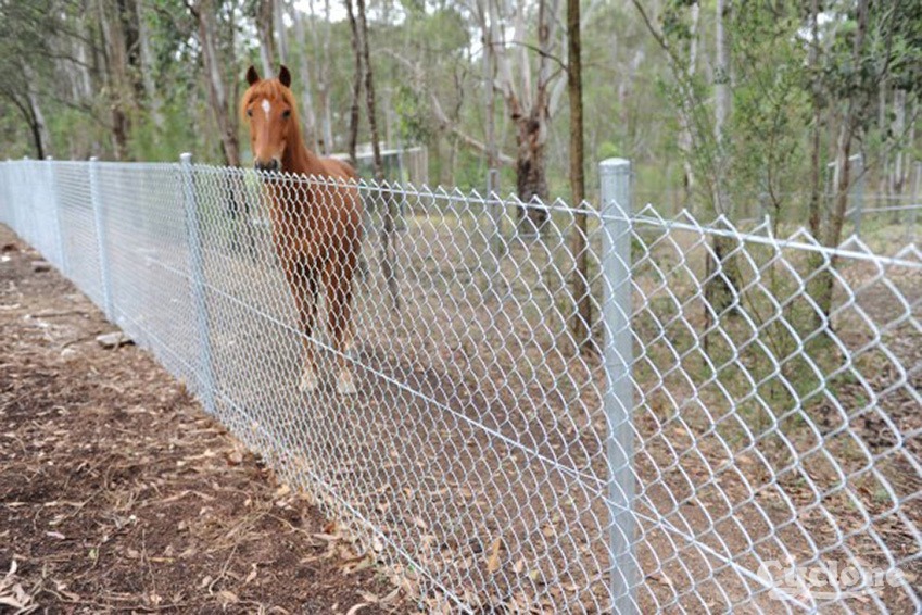 CYC Chainwire In Situ 849X566