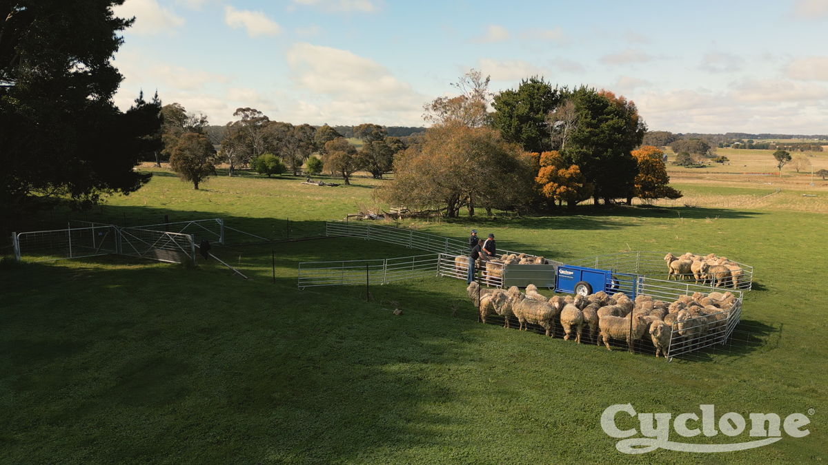 Portable Sheep Drone 2