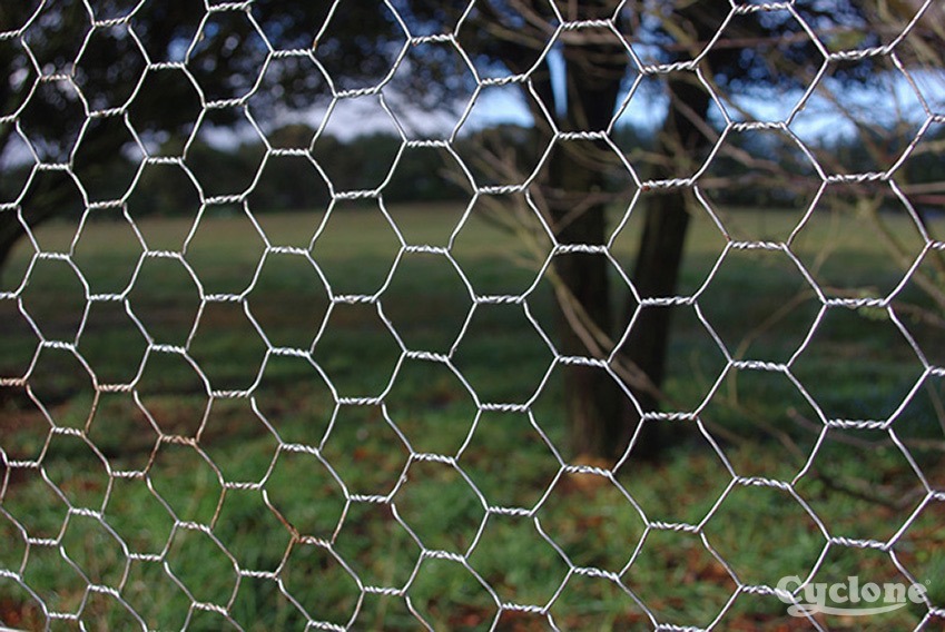 CYC Netting Insitu 849X567